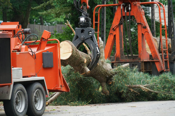 Mulching Services in Montgomery, GA